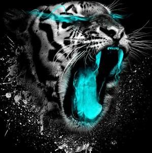 Meet your Posher, Juan